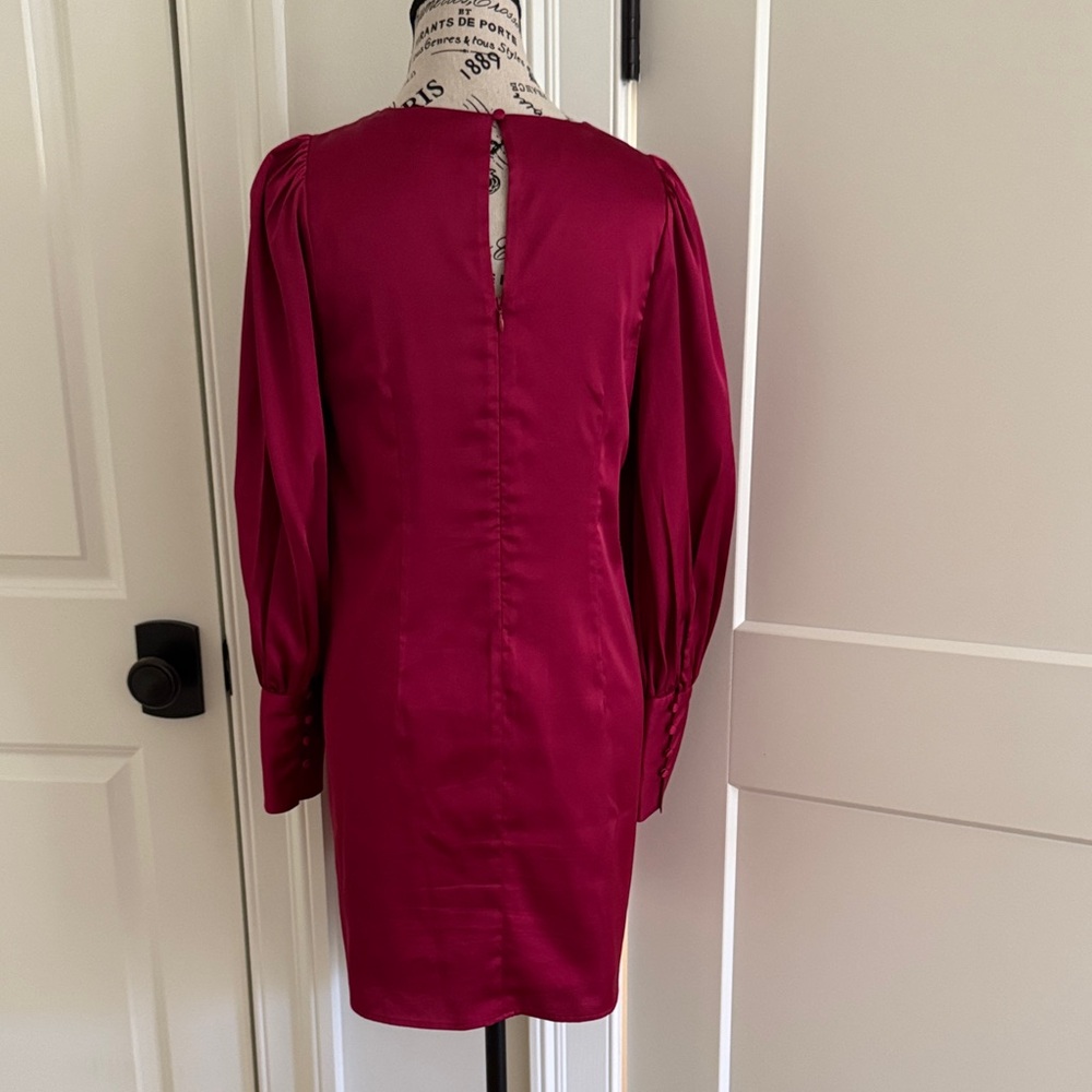 Elegant Raspberry Dress - Picture 4 of 5